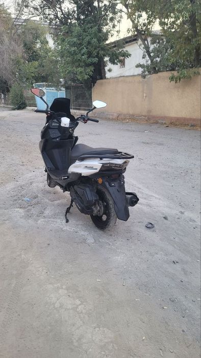 Tiger skuter idel sotiladi srochno