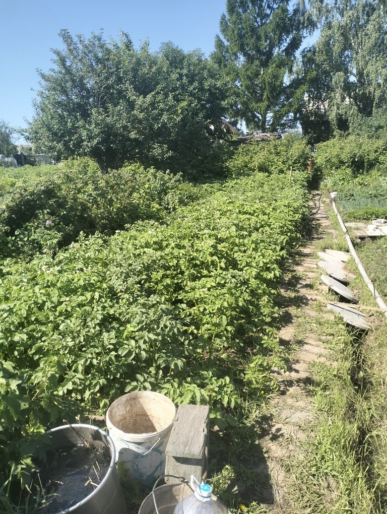Продается Дача в Обществе трест МЖС