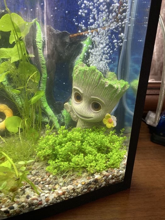 Аквариум 30 литровый