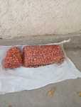 Ekish uchun mayda piyoz