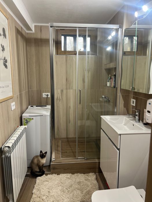 Caut colegă apartament  Iași Tudor