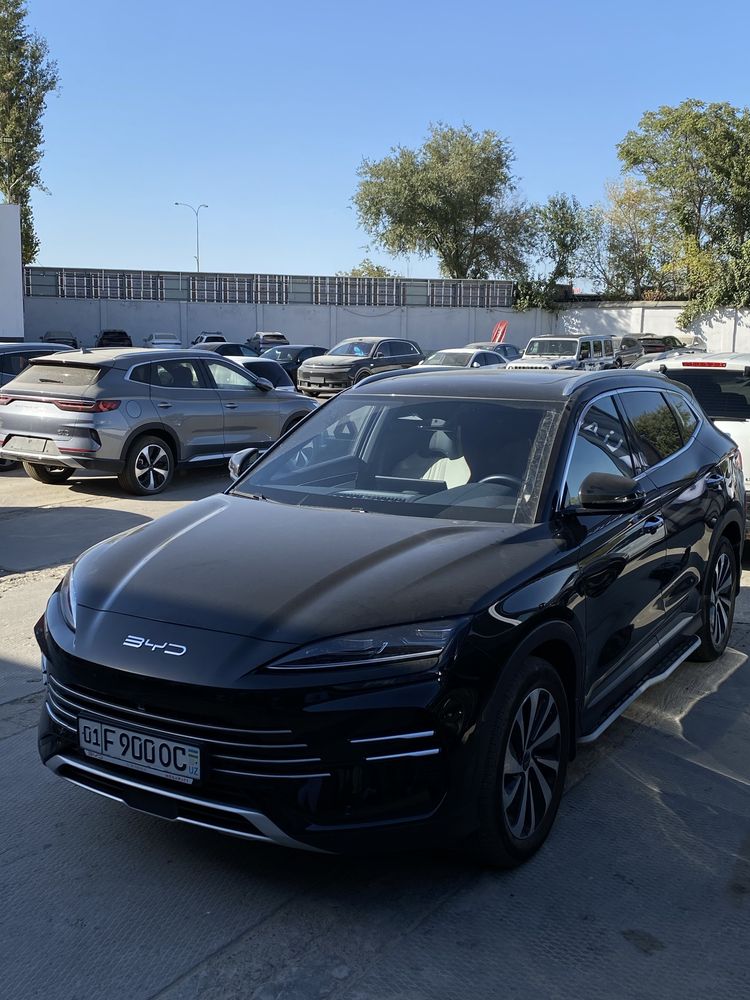 Byd Champion Hybrid 150 км