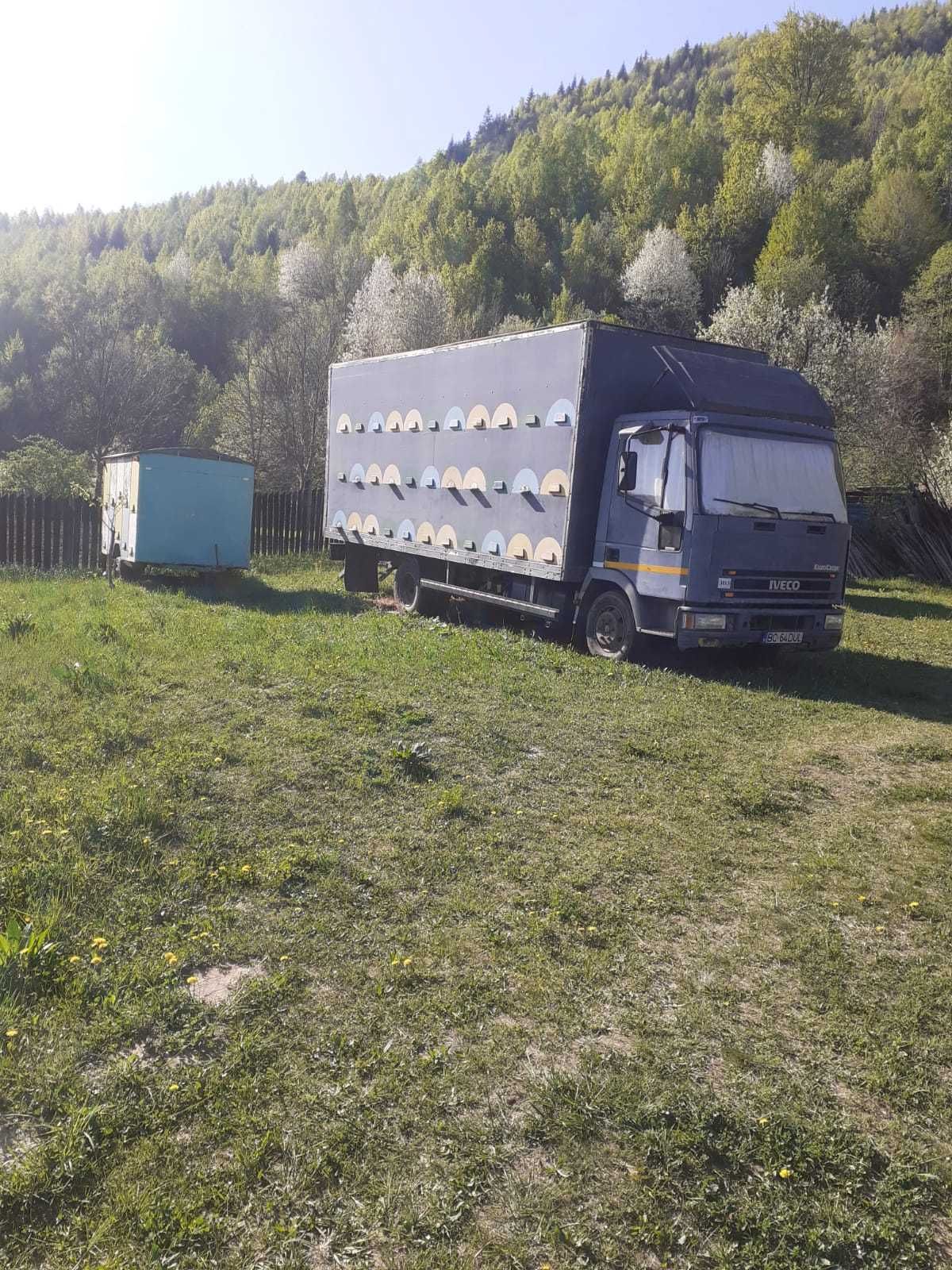 Camion stupina fără  albine