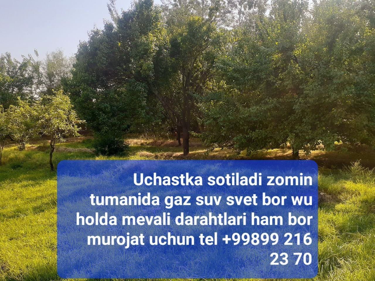 Zomin Tumani Jayilmada Uchaska Bor