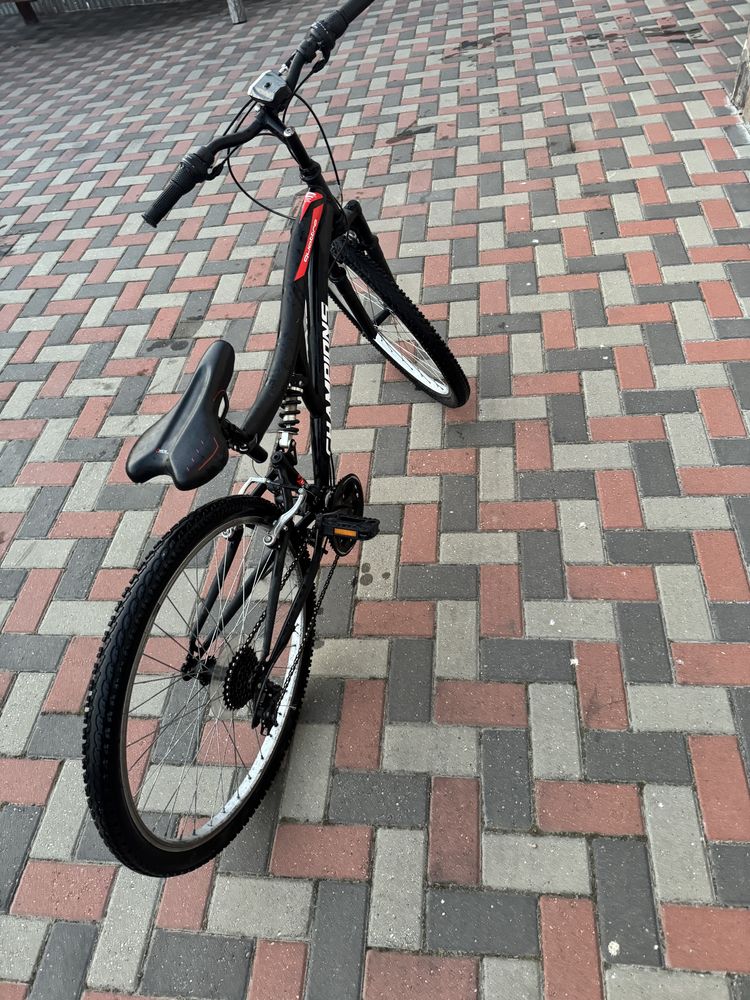 Bicicletă Champions