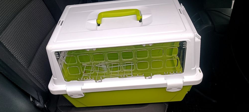 Cusca transport pisici