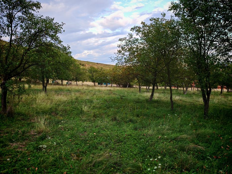 Teren de vânzare Vurpar
