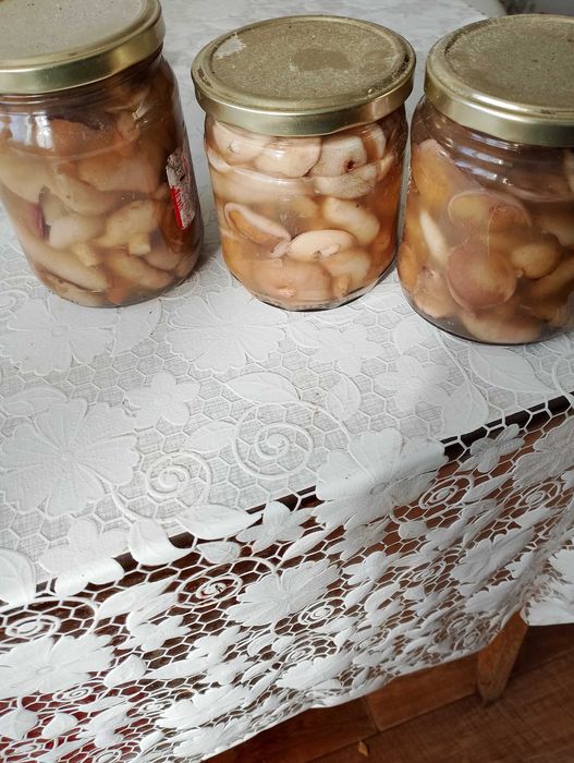 Продам маринованные маслята