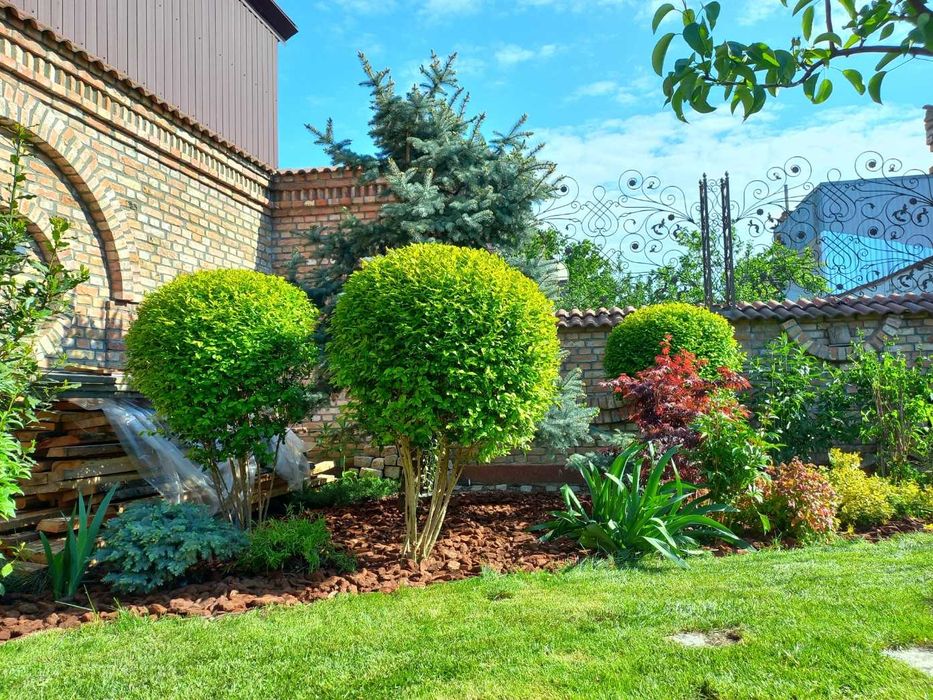 Rulouri de gazon, plante ornamentale,sisteme de irigatie