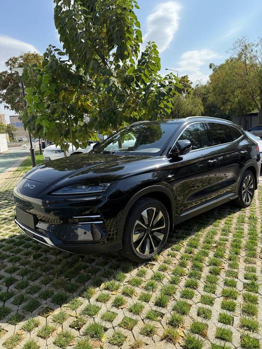BYD chimpion smart holati idial