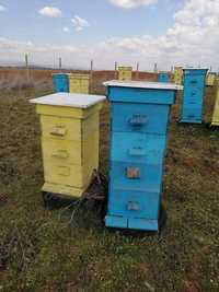 Използвани пчелни кошери