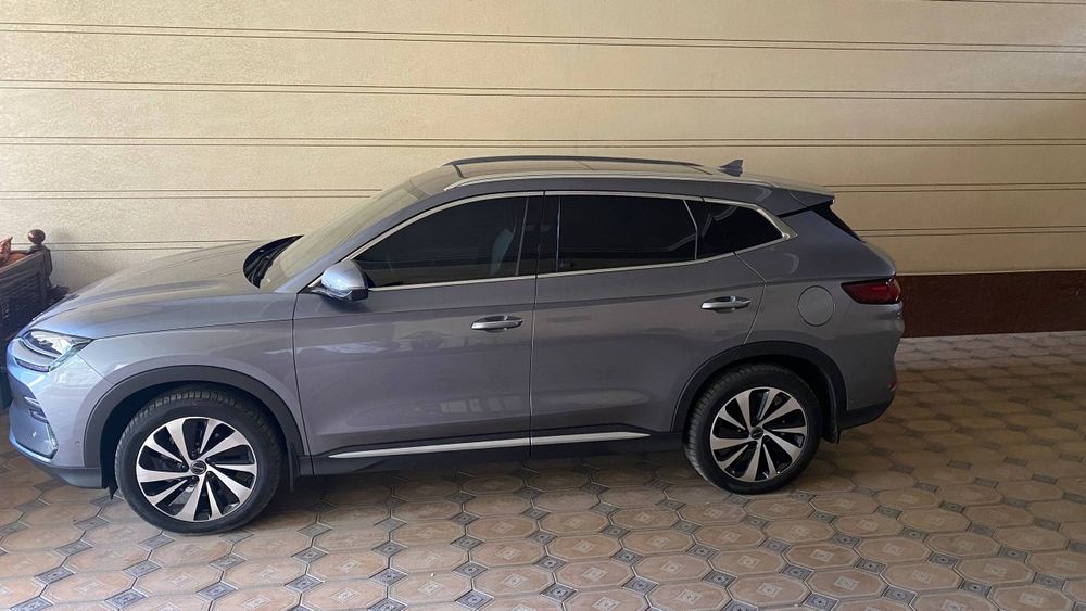 BYD. Чинпийон. . 605.