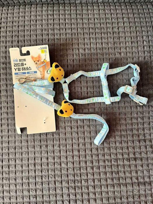 Шлейка вместе с поводком