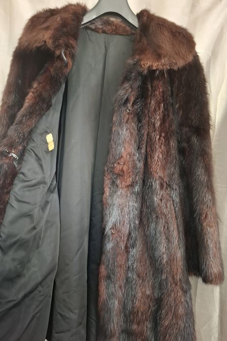 Haina eleganta nurca