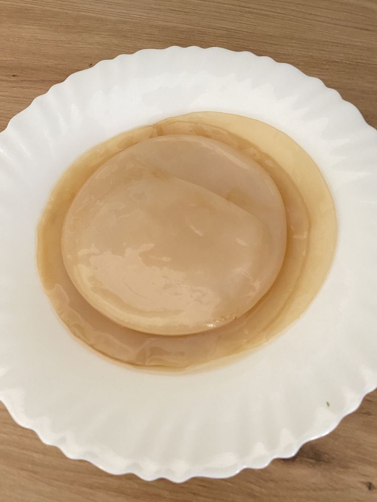 Ciuperca Kombucha - SCOBY starter kit