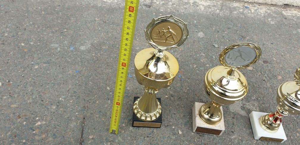 Cupe (trofee) diferite competiti de sporturi iarnă (sky)