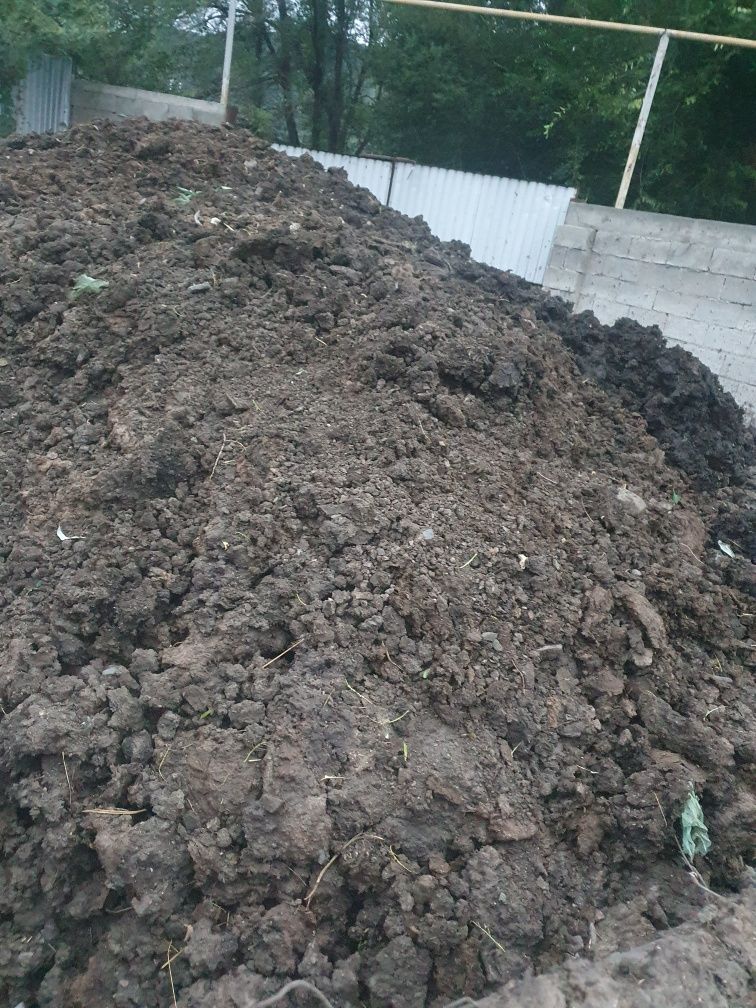 Навоз коныи каровыи смешные