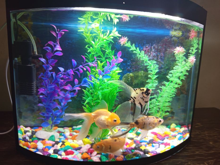 Аквариум 40 литров