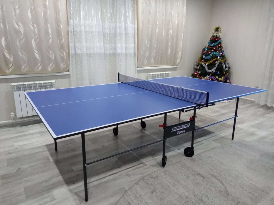 Теннисный стол в аренду на сутки (прокат с ракетками