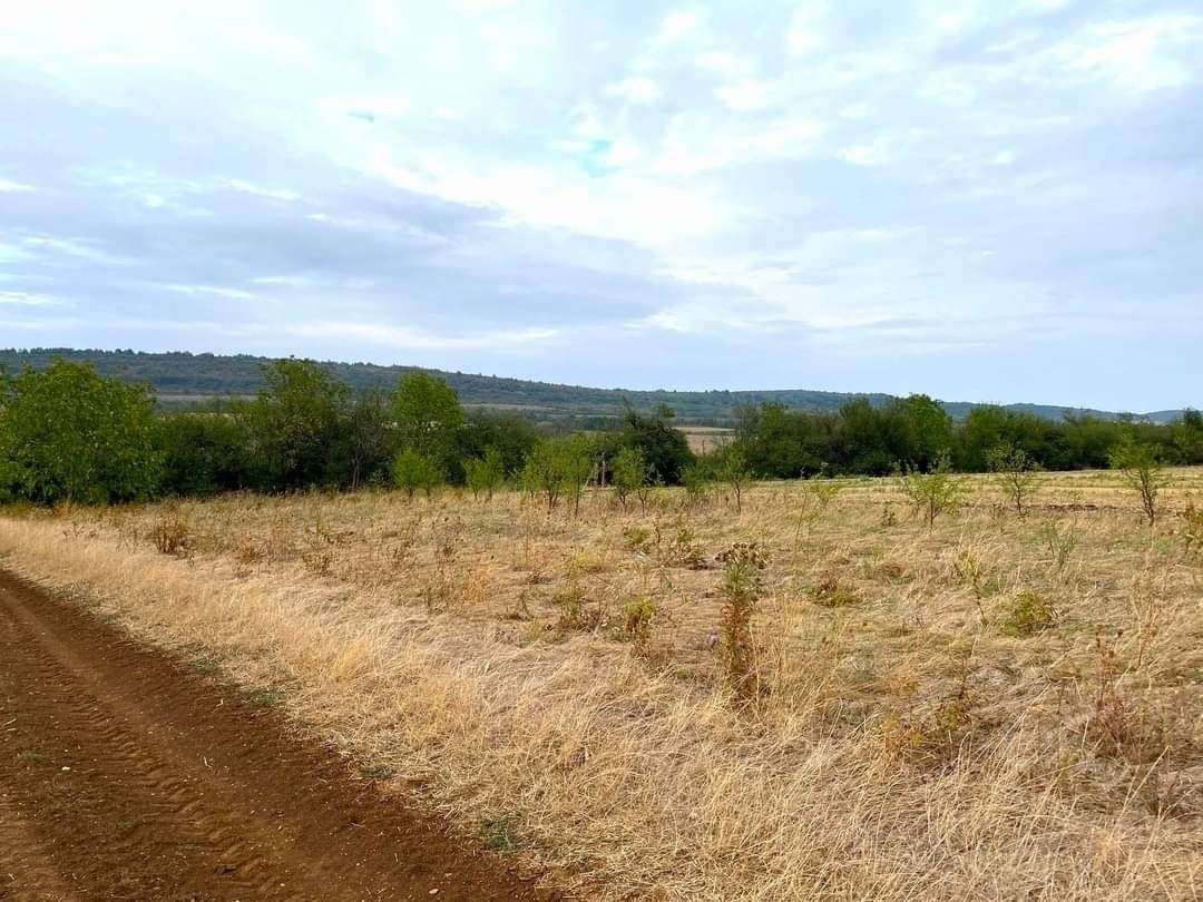 Панорамен парцел в регулация в село Церова кория