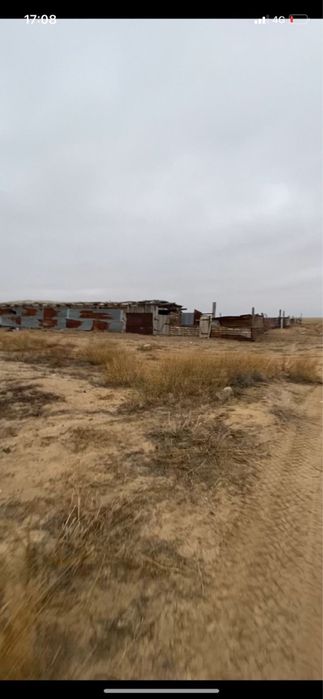 Кыр сатылады Сарыкумак