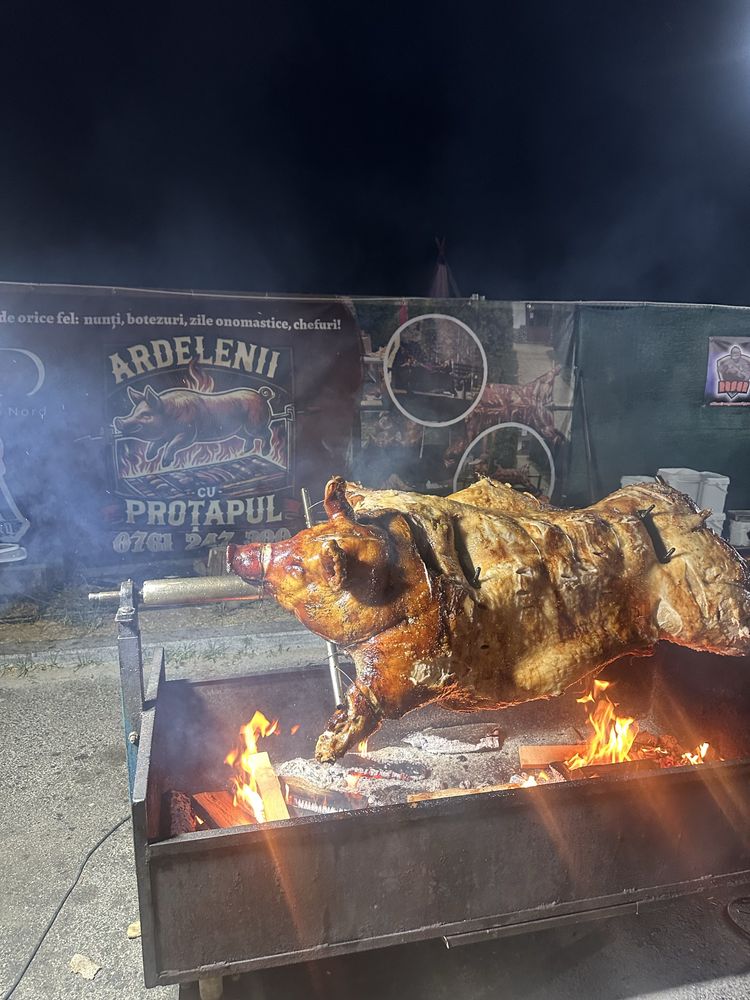 Protap de porc, vitel, berbecut, oaie, pui, curcani