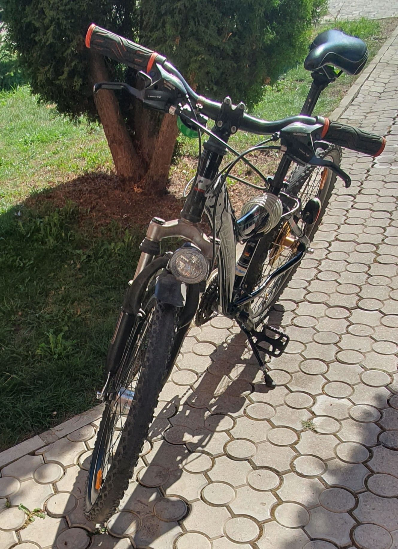 Bicicleta rixe pentru copii sau dame