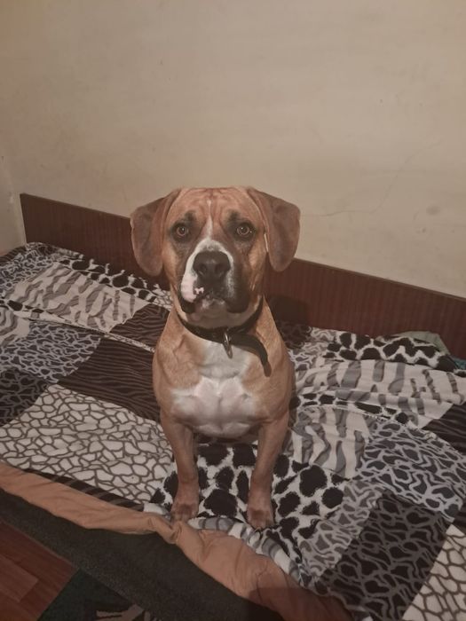 Вязка для кабеля