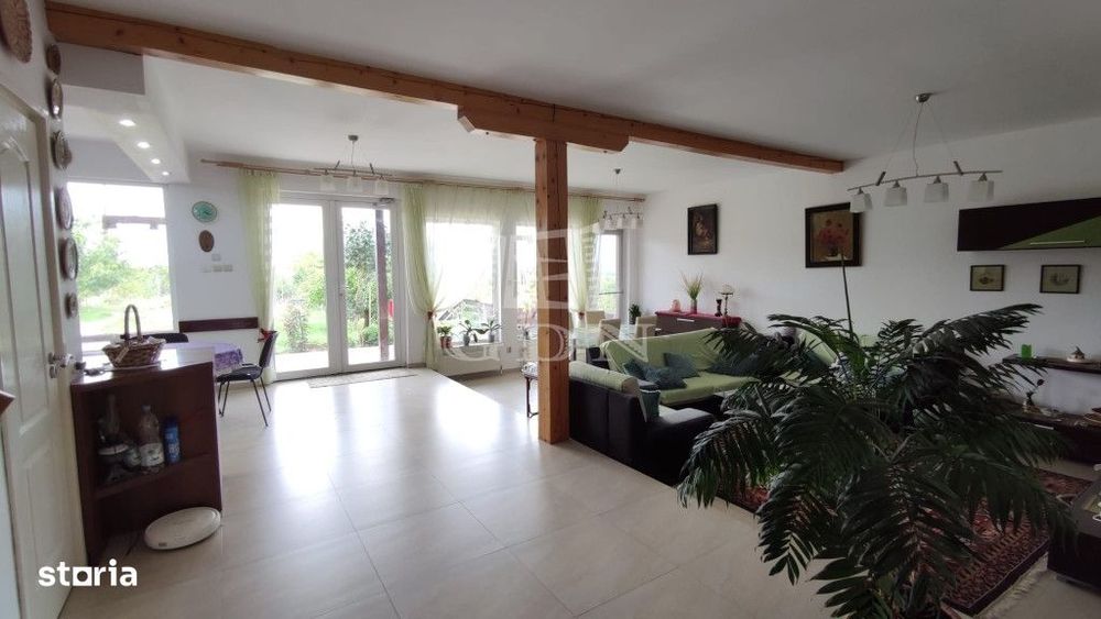 Casa P+1 cu 6 camere, decomandata, suprafata utila 220 mp, Paleu