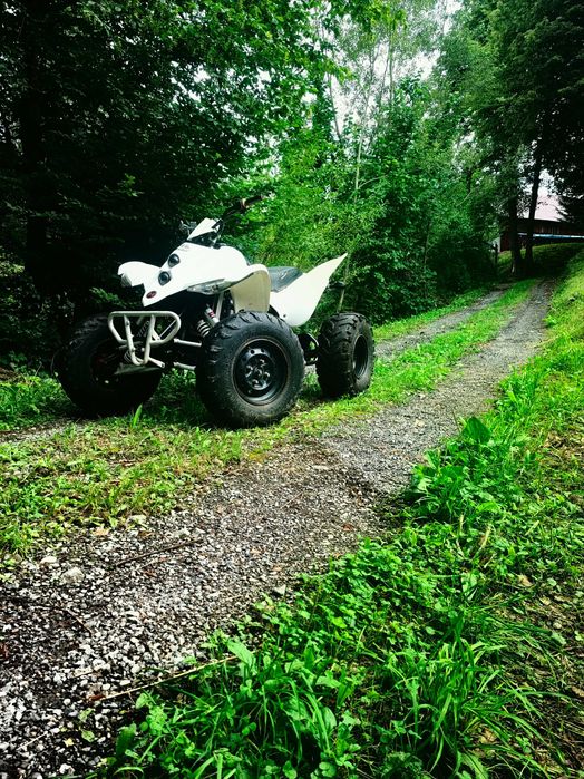ATV Shineray 250cc automat  cu marsarier  + Acte de Romania NR NEGRU!