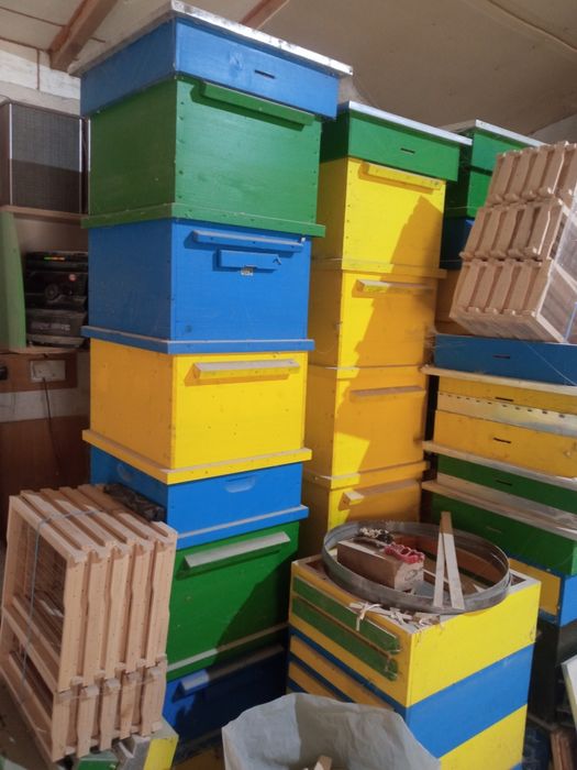 Пчелни кошери с магазини