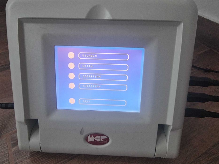 bemer magnetic cell regeneration