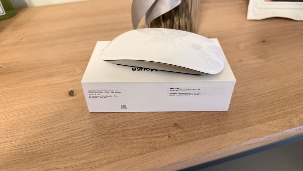 Apple magic mouse USB C 2024