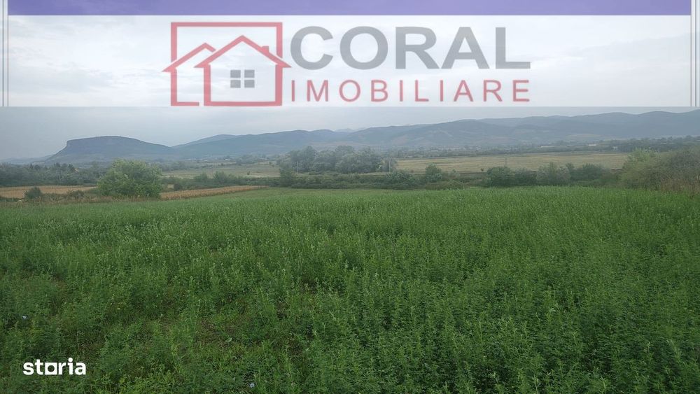 De vanzare teren extravilan, zona Spini