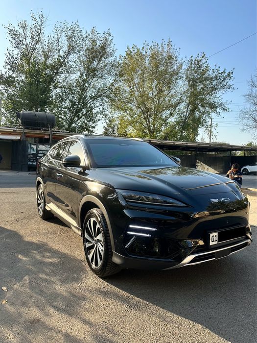 Byd champion 605 km full