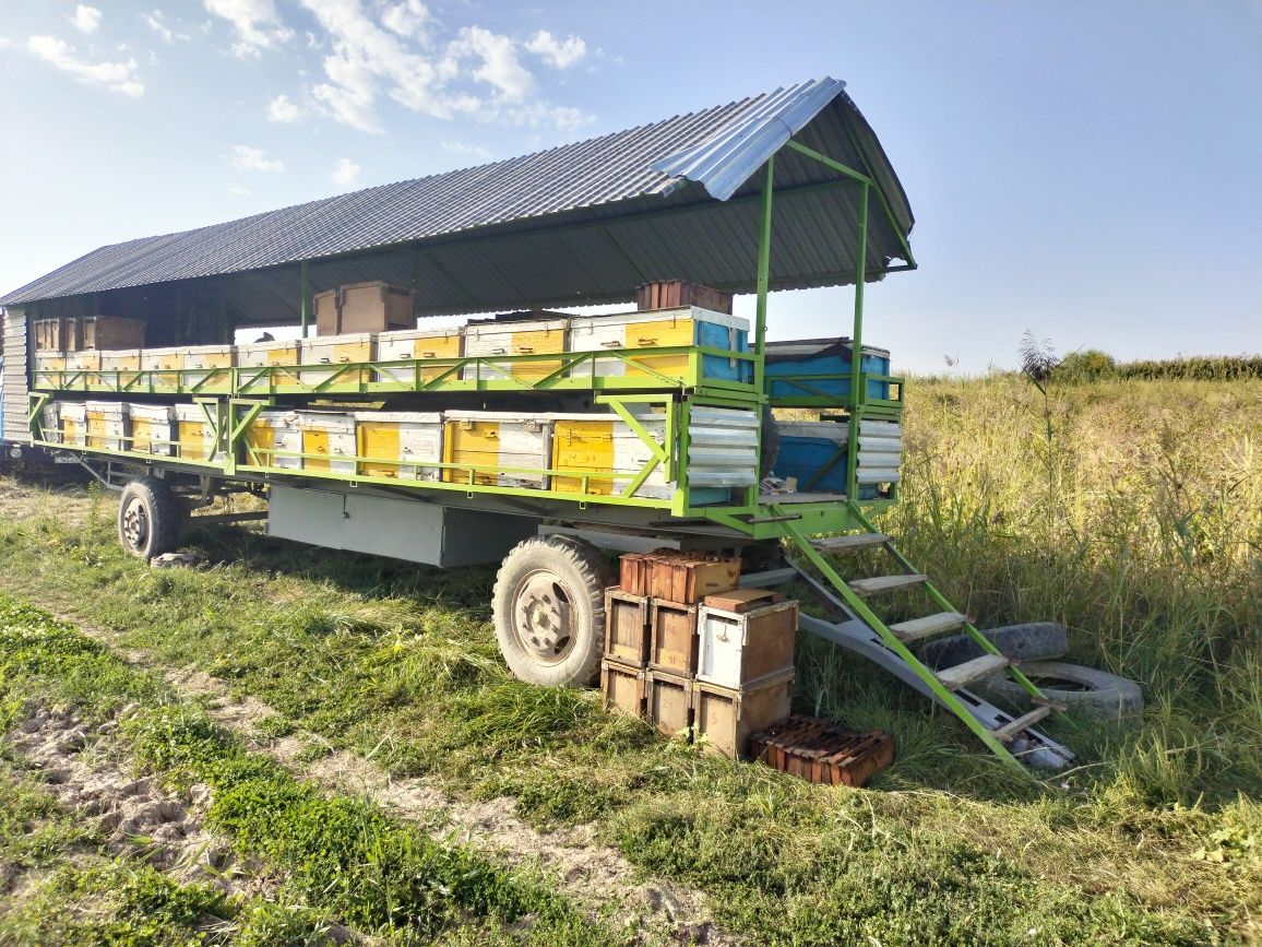 Продаётся пчелоприцеп