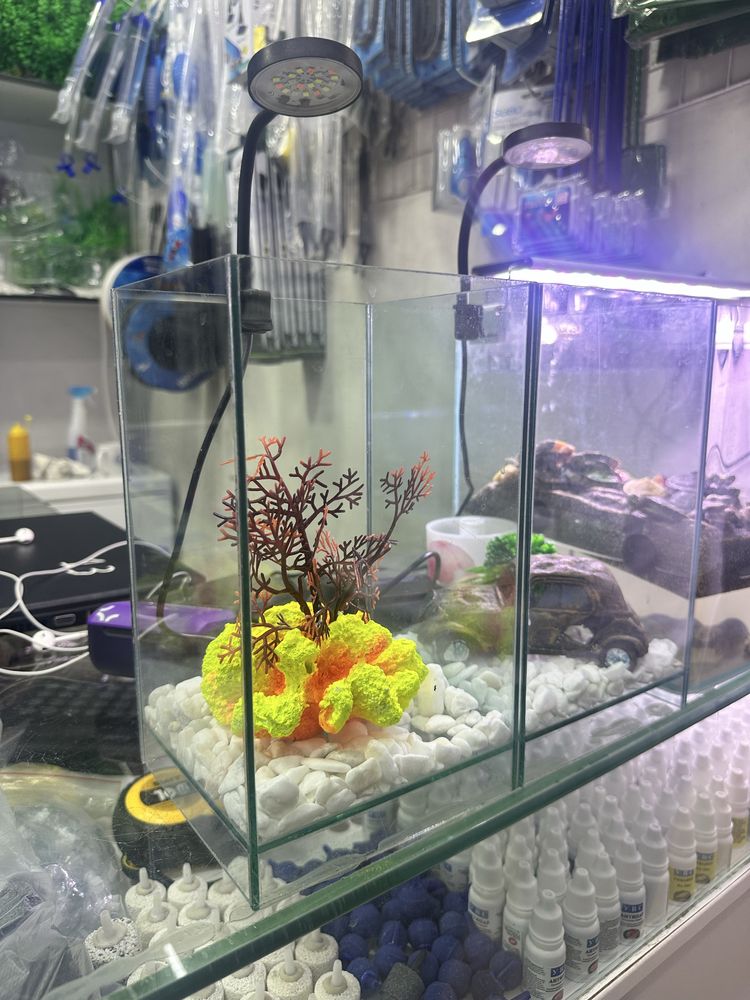 Mini akvarium 16x16