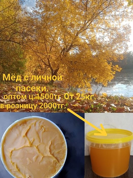 Мёд с личной пасеки 1500тг.