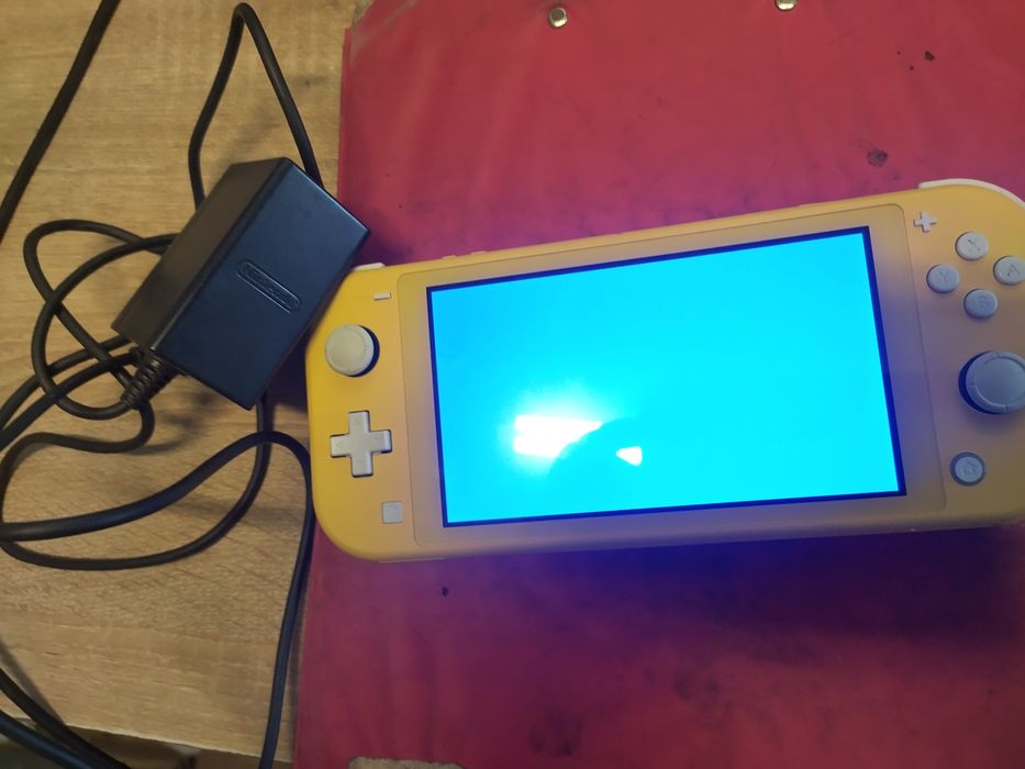 Vand Nintendo Switch Lite defect