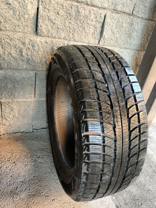 Triangle Snow Lion TR777