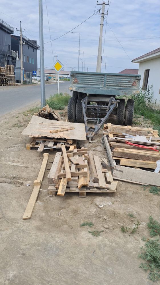 Ағаш дерево беслпатно