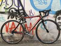 Cursiera carbon rara 2010 Merckx / Eddie Merxkx