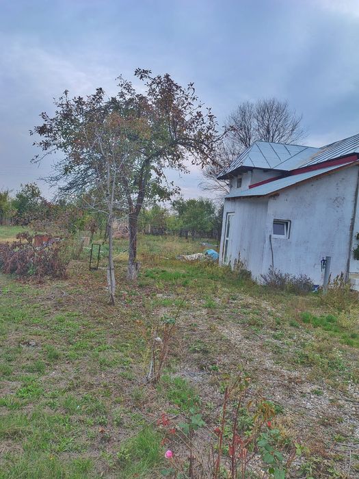 Unic Proptietar vând teren intravilan și extravilan cu suprafață 8245