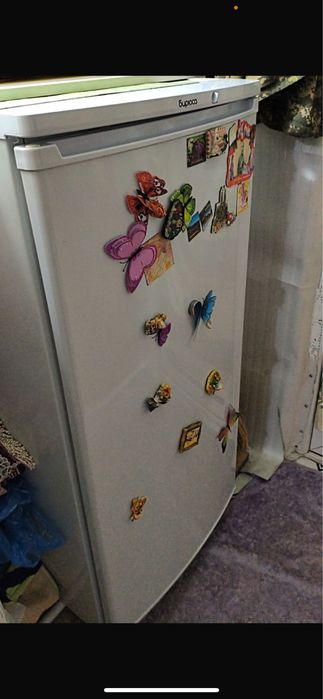 Холодильник Бирюса