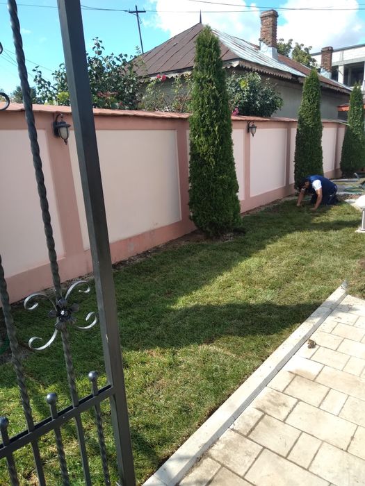 Gazon rulou calitatea premium