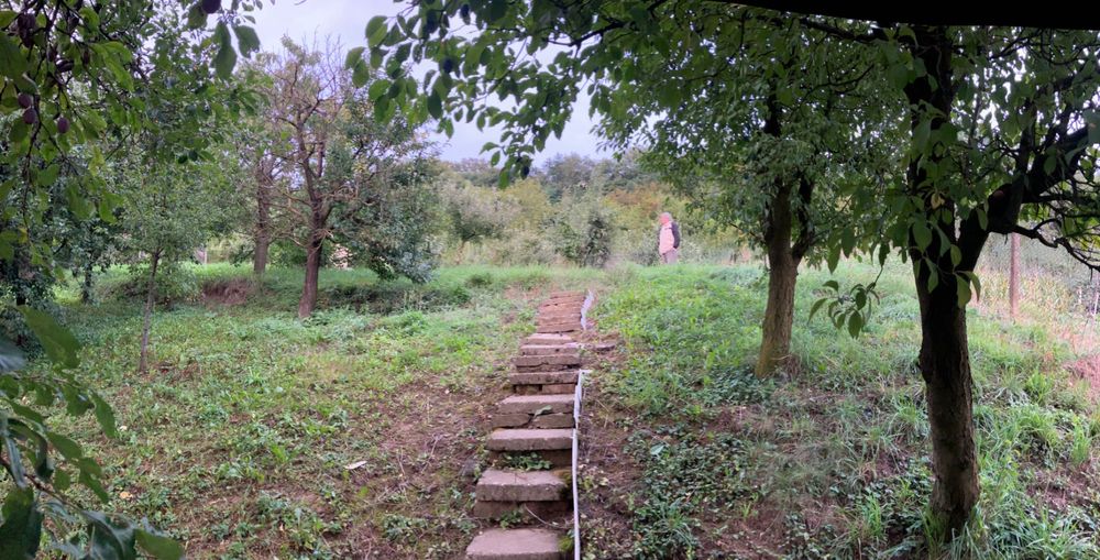 Vând teren intravilan BISTRITA, zona Valea Ghinzii