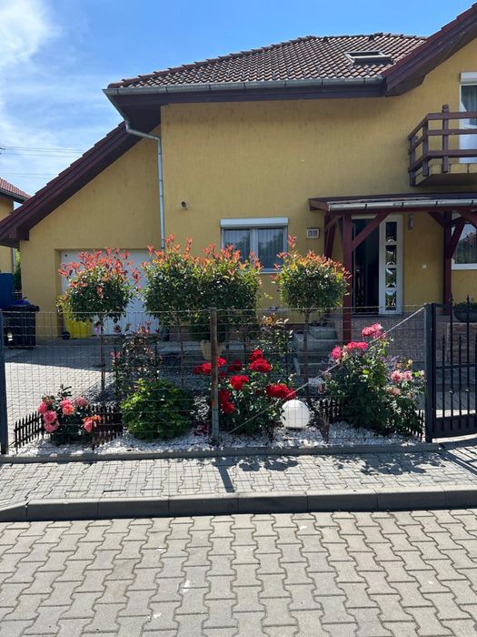 Amenajeri spati verzi gazon rulou piatra decorativă & cubica