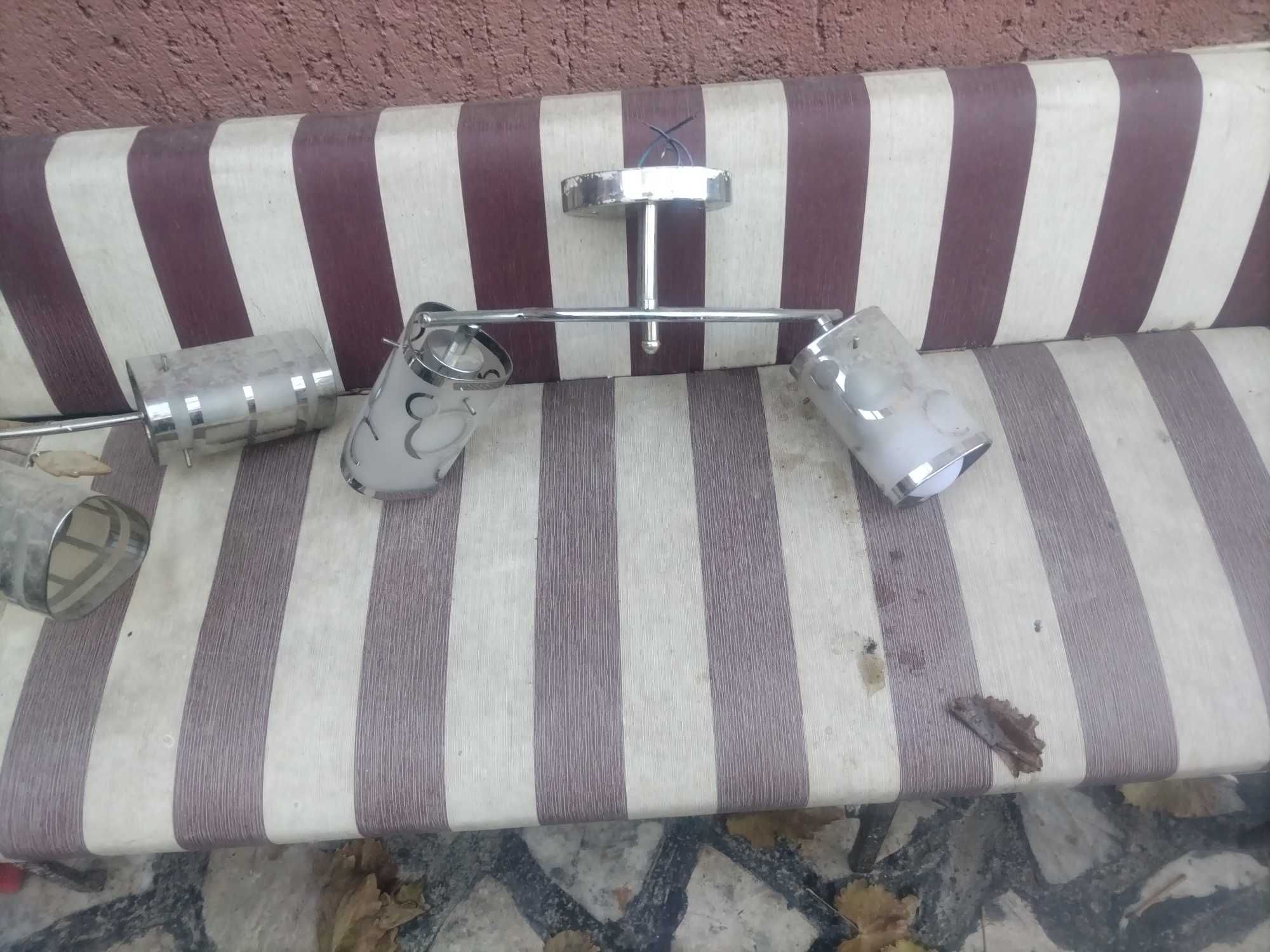 Полилей в добро състояние