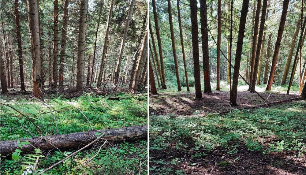 Vand Teren Balcesti/Belis cu deschidere la lacul Belis-Fantanele