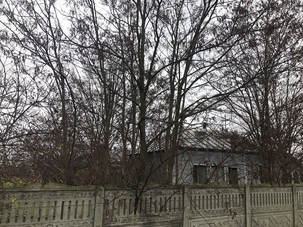 Casa si teren 3268mp in Sat Comaneasca,Com Tudor Vladimirescu,Jud Br